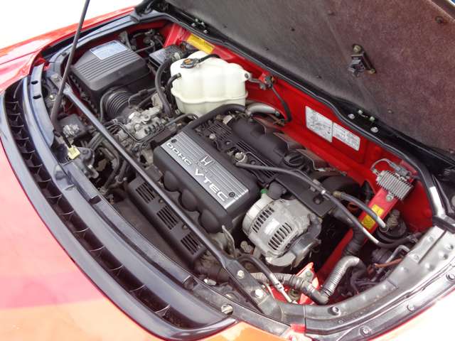 U00046924460_55_001.jpg