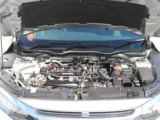 U00046503321_41_004.jpg