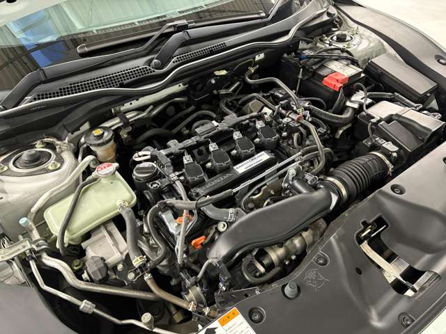 U00047717449_73_001.jpg