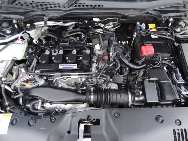 U00048312187_19_001.jpg