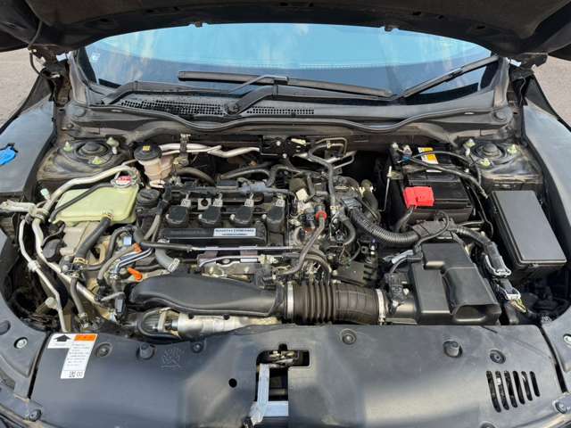 U00048262273_43_001.jpg