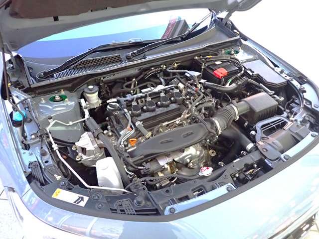 U00048446491_65_002.jpg