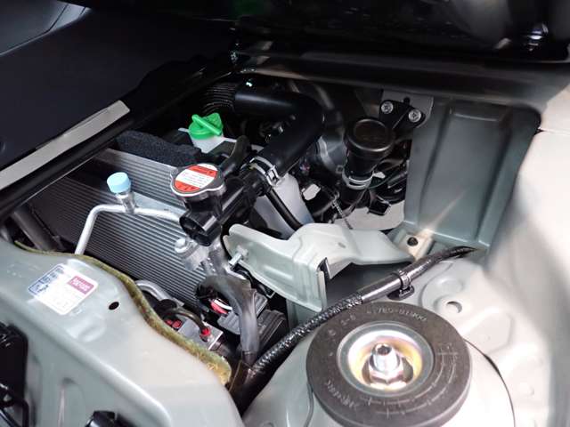 U00048507973_36_001.jpg