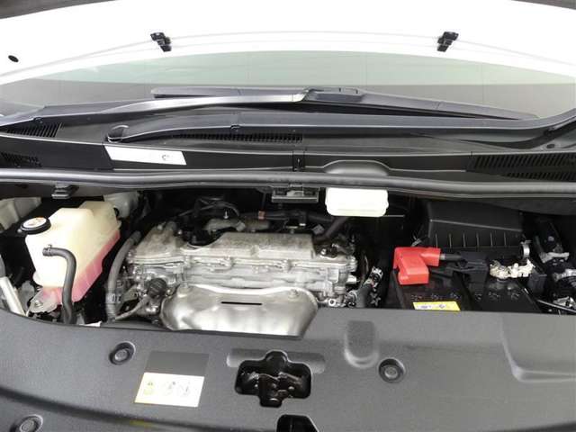 U00048011667_41_002.jpg