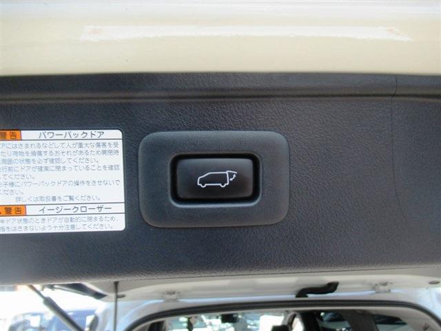 UJ0048376264_19_001.jpg