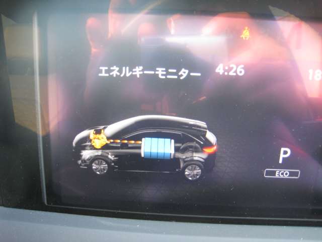 U00048173412_6_001.jpg