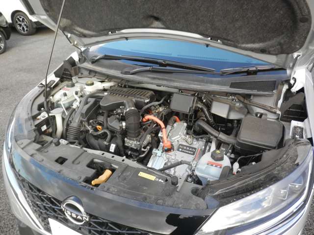 U00048252675_43_001.jpg