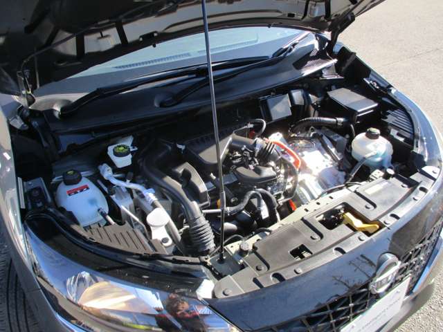 U00047819768_64_001.jpg