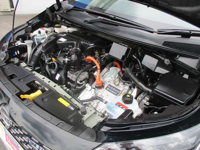 U00046328022_69_003.jpg