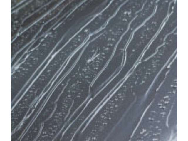 U00048567554_22_001.jpg