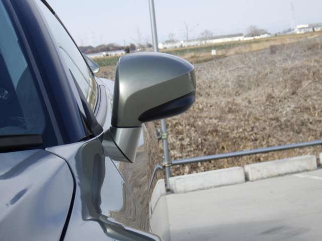 U00048472419_73_003.jpg