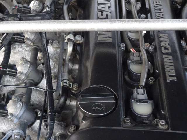 U00043038686_56_001.jpg