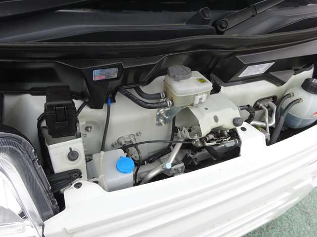 U00048565360_45_001.jpg