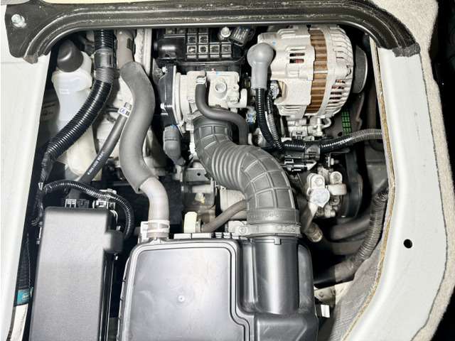 U00046564415_74_001.jpg