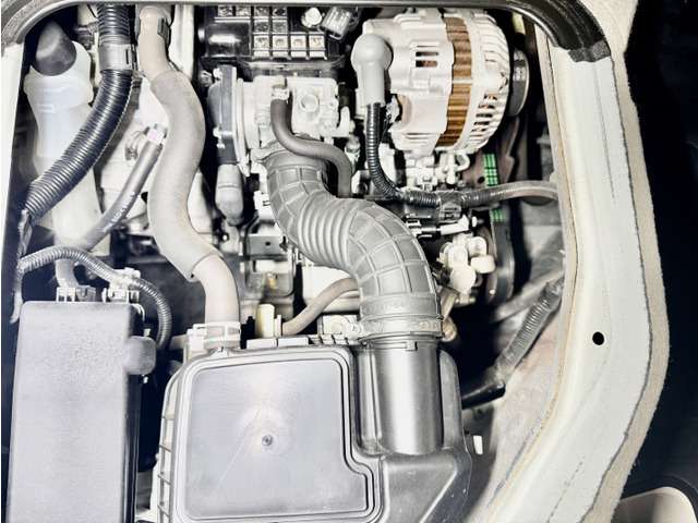 U00048609167_82_001.jpg