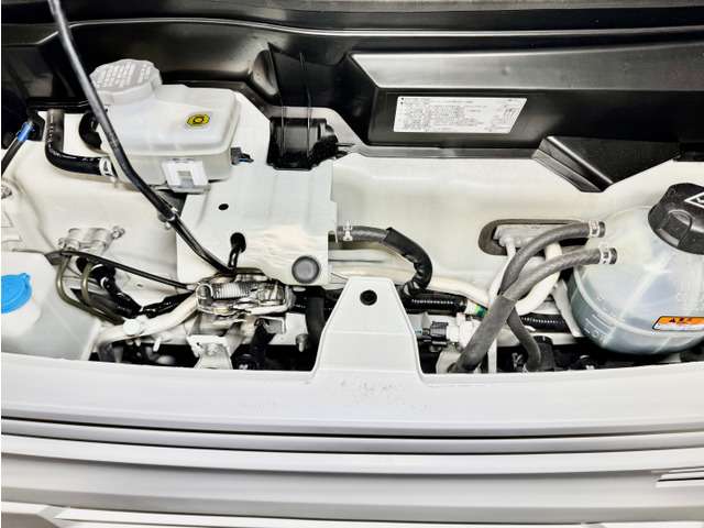 U00048461497_79_001.jpg