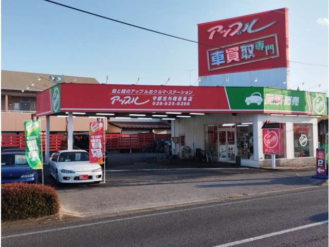 U00046645545_82_004.jpg
