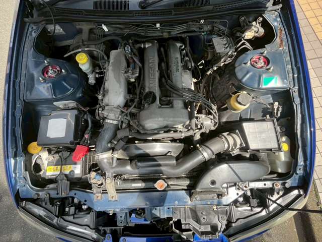 U00048481066_81_001.jpg