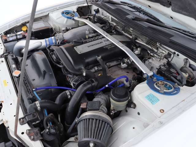 U00048003054_50_001.jpg