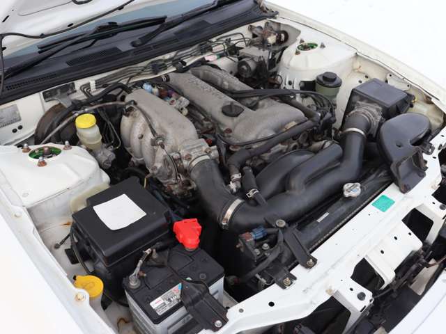 U00043920192_32_002.jpg