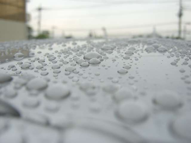 U00047557366_23_001.jpg